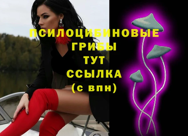 прущие крисы Горно-Алтайск