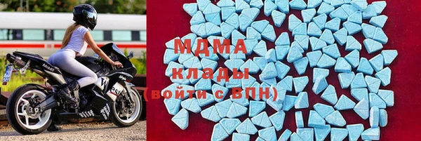 PSILOCYBIN Горняк