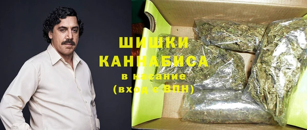 PSILOCYBIN Горняк