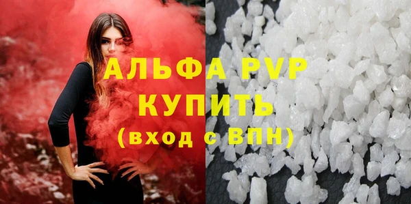 PSILOCYBIN Горняк
