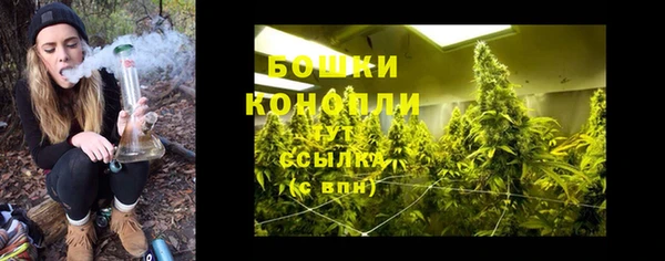 прущие крисы Горно-Алтайск