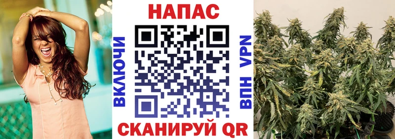 Конопля THC 21% Опочка